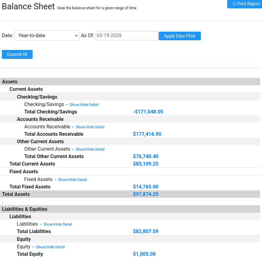 Brisk balance sheet report showing financial reporting and connected accounting visibility